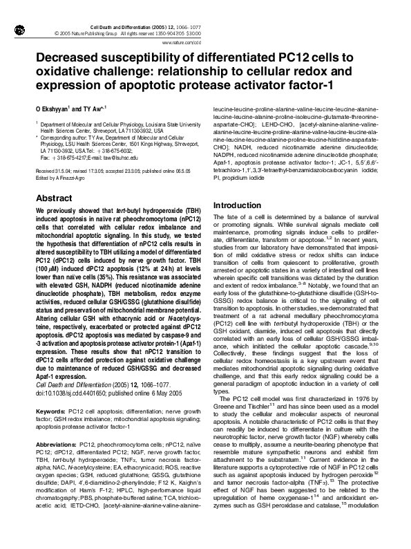 (PDF) Decreased susceptibility of differentiated PC12 cells to ...