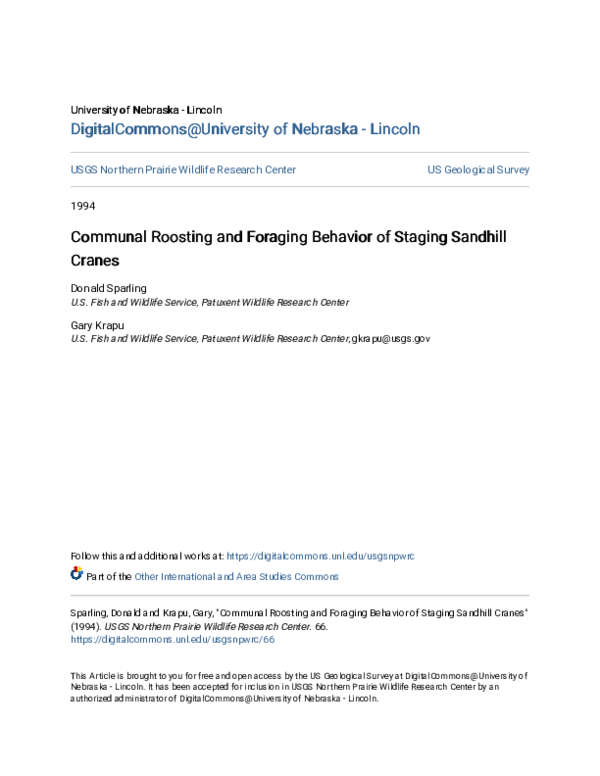 (PDF) Communal Roosting and Foraging Behavior of Staging Sandhill Cranes