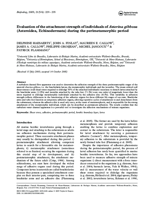 (PDF) Evaluation of the attachment strength of individuals ofAsterina ...
