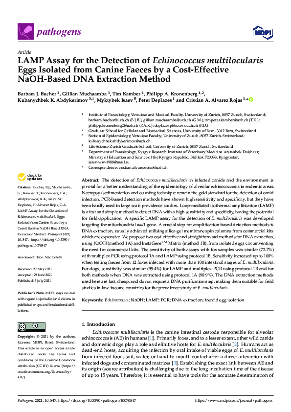 (PDF) LAMP Assay for the Detection of Echinococcus multilocularis Eggs ...