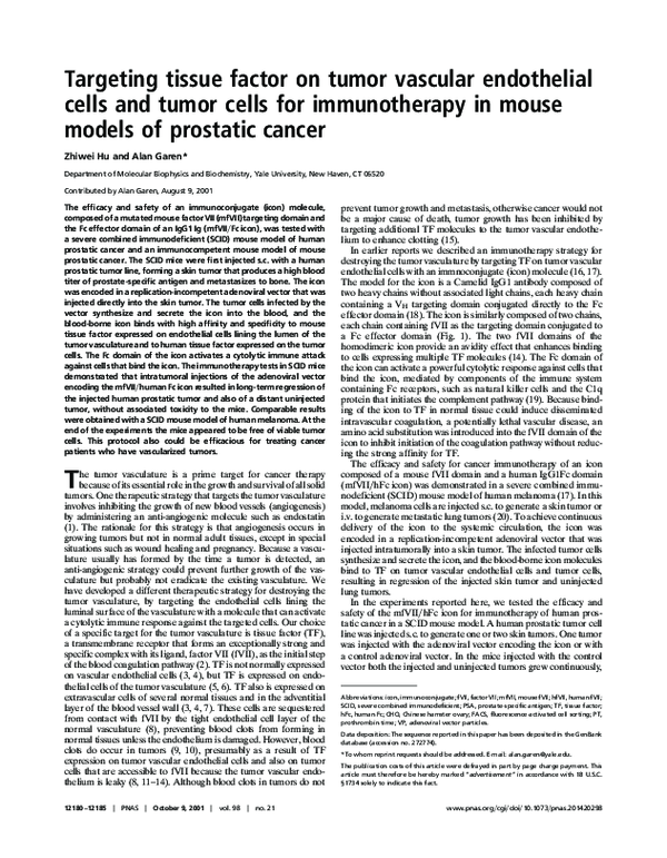 (PDF) Targeting tissue factor on tumor vascular endothelial cells and ...