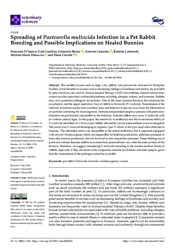(PDF) Spreading of Pasteurella multocida Infection in a Pet Rabbit ...