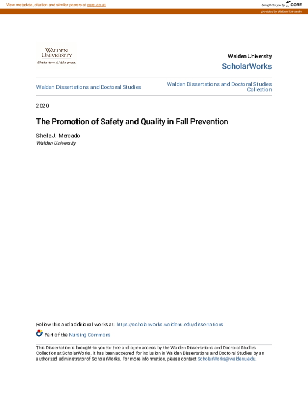 (PDF) The Promotion of Safety and Quality in Fall Prevention