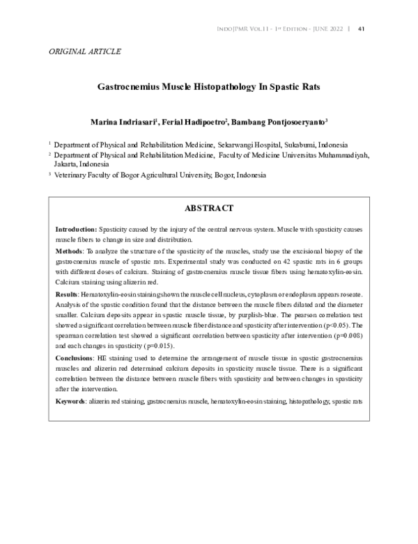 (PDF) Gastrocnemius Muscle Histopathology In Spastic Rats