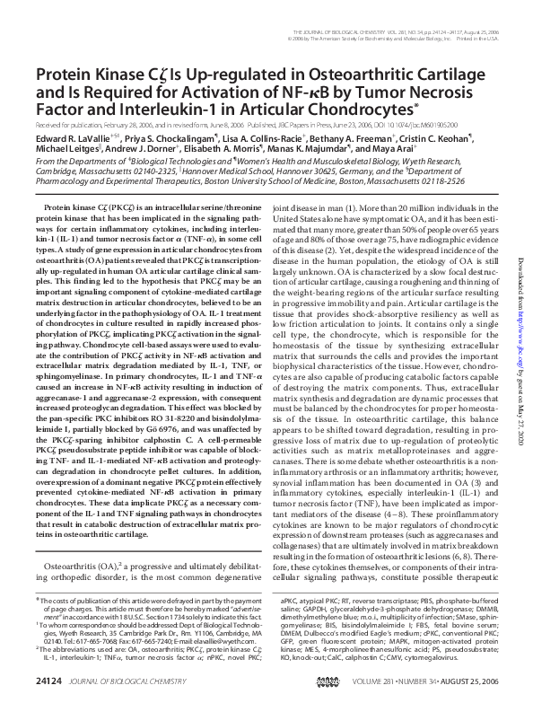 (PDF) Protein Kinase Cζ Is Up-regulated in Osteoarthritic Cartilage and ...