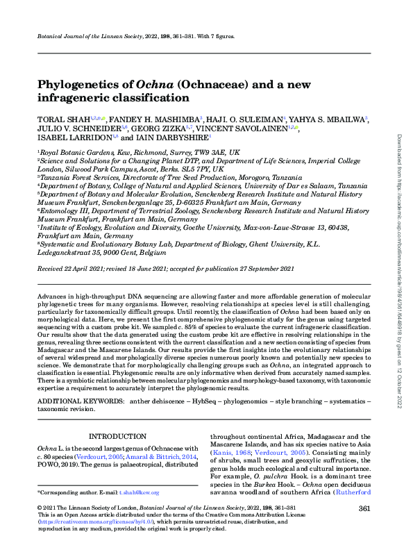 (PDF) Phylogenetics of Ochna (Ochnaceae) and a new infrageneric ...
