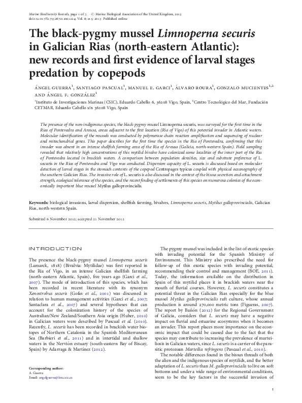 (PDF) The black-pygmy mussel Limnoperna securis in Galician Rias (north ...