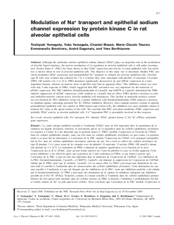 (PDF) Modulation of Na+transport and epithelial sodium channel ...