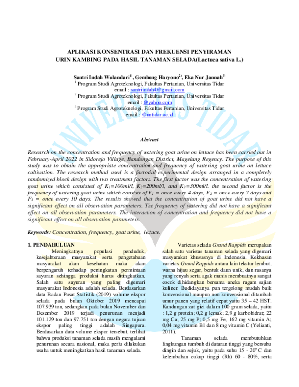 Cara Aplikasi Urin Kelinci pada Tanaman