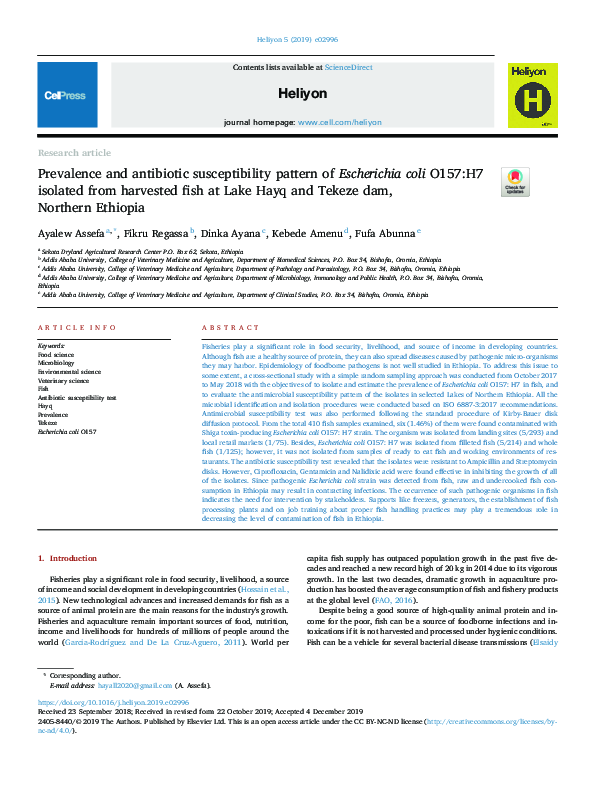 (PDF) Prevalence and antibiotic susceptibility pattern of Escherichia ...