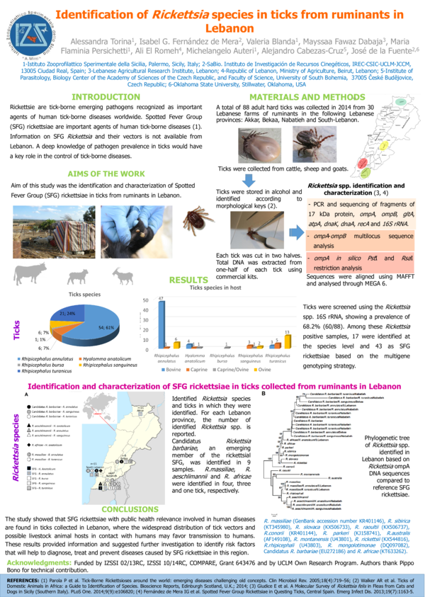 (PDF) Identification of Rickettsia species in ticks from ruminants in ...