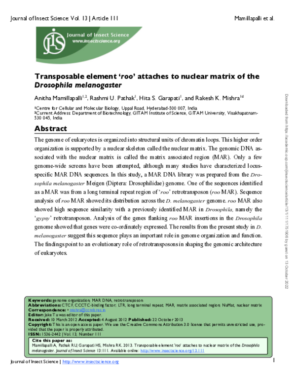 (PDF) Transposable Element ‘roo’ Attaches to Nuclear Matrix of ...