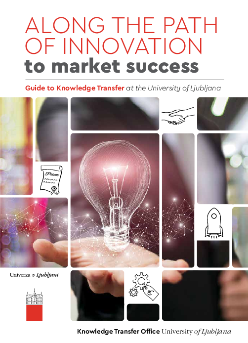 (PDF) Along the path of innovation to market success | Miha Rajh ...