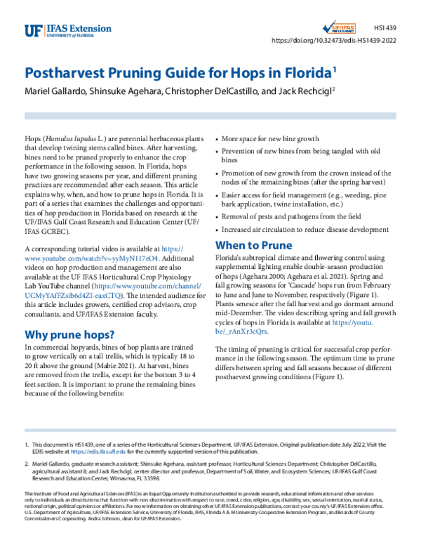 (PDF) Postharvest Pruning Guide for Hops in Florida