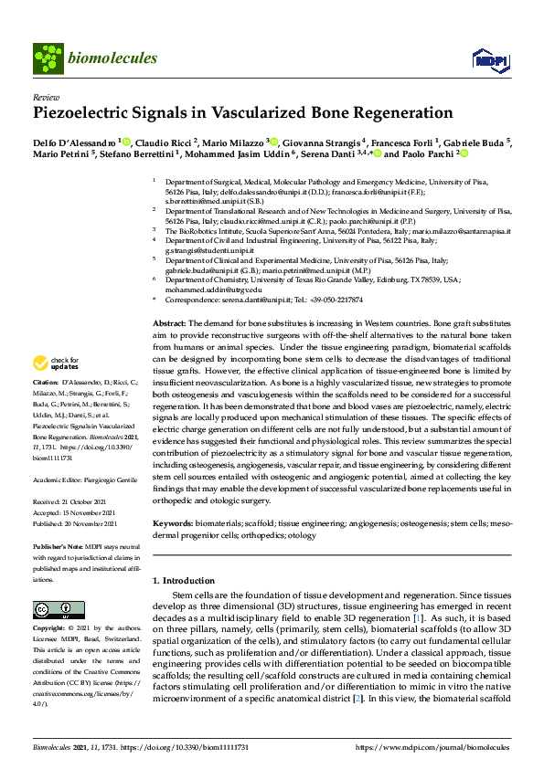 (PDF) Piezoelectric Signals in Vascularized Bone Regeneration