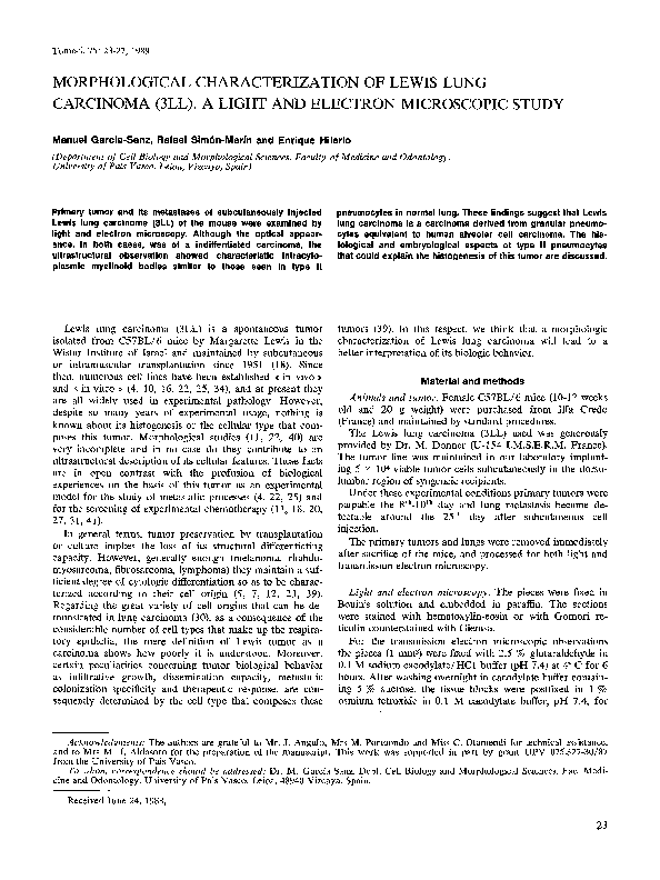 (PDF) Morphological Characterization of Lewis Lung Carcinoma (3LL). A ...