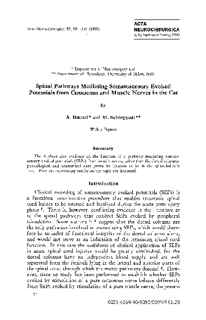 (PDF) Spinal pathways mediating somatosensory evoked potentials from ...