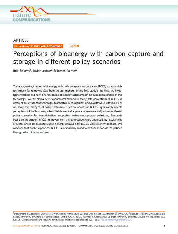 (PDF) Perceptions of bioenergy with carbon capture and storage in ...