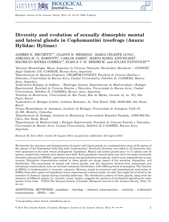(PDF) Diversity and evolution of sexually dimorphic mental and lateral ...