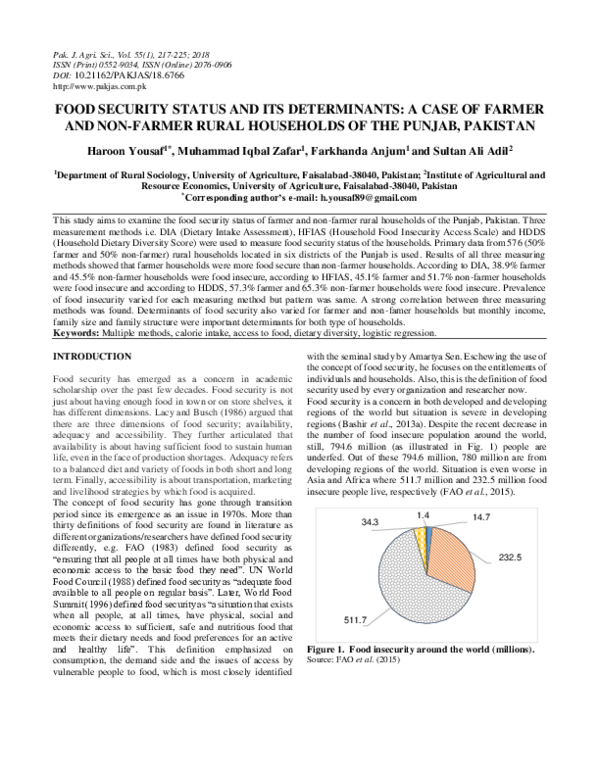 (PDF) Food Security Status and Its Determinants: A Case of Farmer and ...