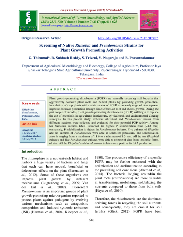 (PDF) Screening of Native Rhizobia and Pseudomonas Strains for Plant ...