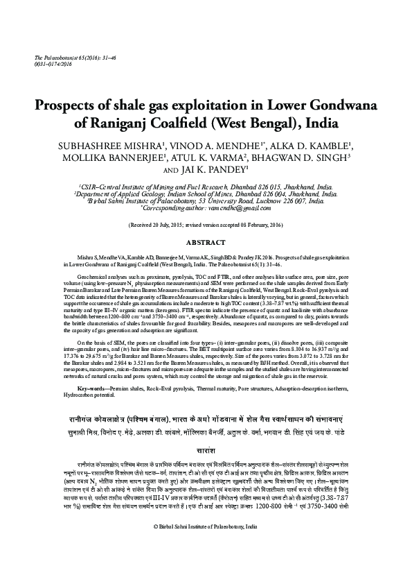 (PDF) Prospects of shale gas exploitation in Lower Gondwana of Raniganj ...