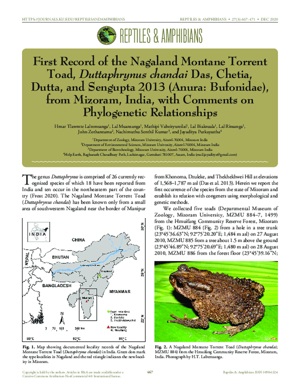 (PDF) First record of the Nagaland Montane Torrent Toad, Duttaphrynus ...
