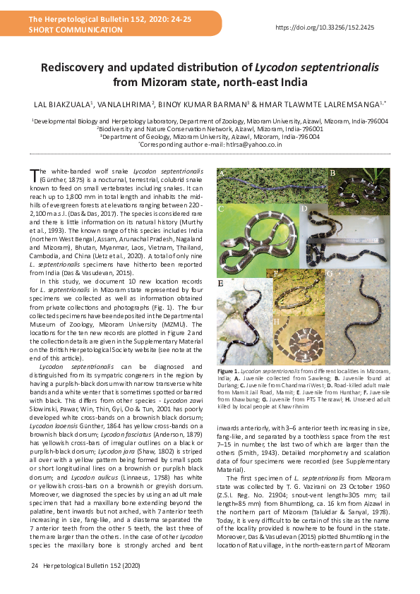 (PDF) Rediscovery and updated distribution of Lycodon septentrionalis ...