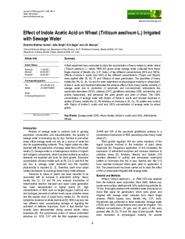 (PDF) Effect of Indole Acetic Acid on Wheat (Triticum aestivum L ...