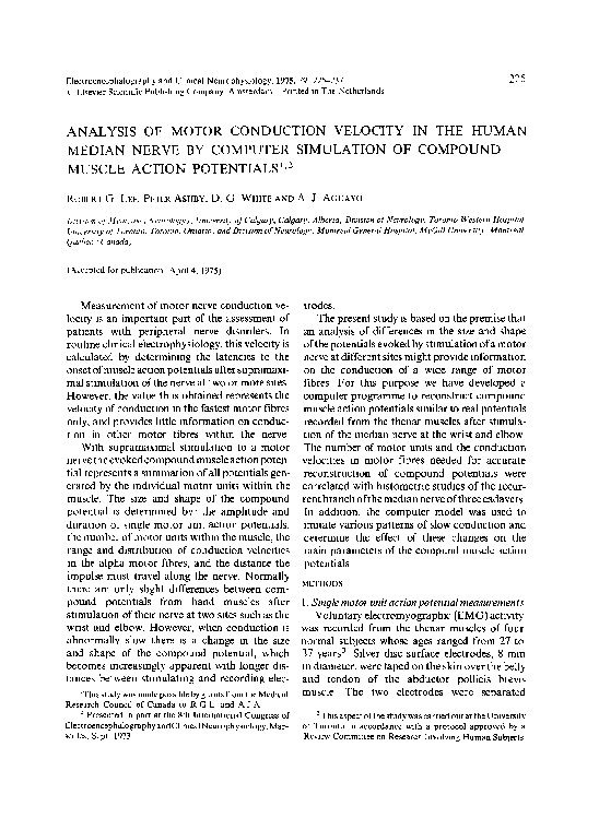 (PDF) Analysis of motor conduction velocity in the human median nerve ...