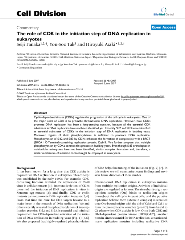 (PDF) The role of CDK in the initiation step of DNA replication in ...