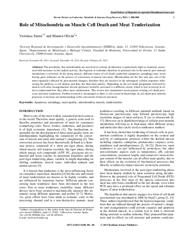 (PDF) Role of Mitochondria on Muscle Cell Death and Meat Tenderization