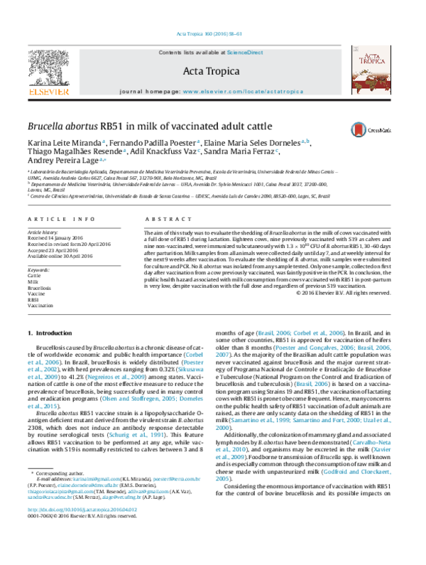(PDF) Brucella abortus RB51 in milk of vaccinated adult cattle
