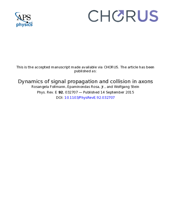 (PDF) Dynamics of signal propagation and collision in axons
