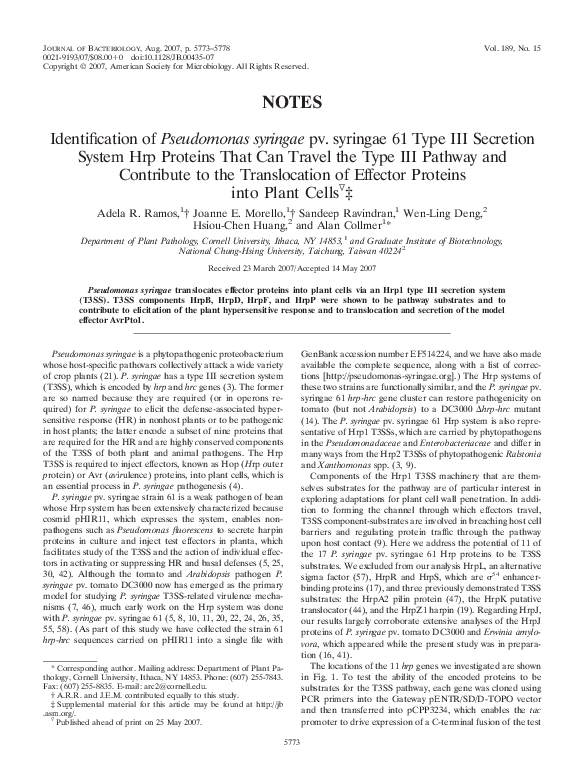 (PDF) Identification of Pseudomonas syringae pv. syringae 61 Type III ...