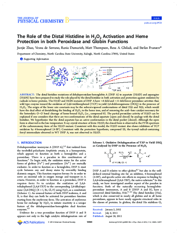 (PDF) The Role of the Distal Histidine in H2O2 Activation and Heme ...