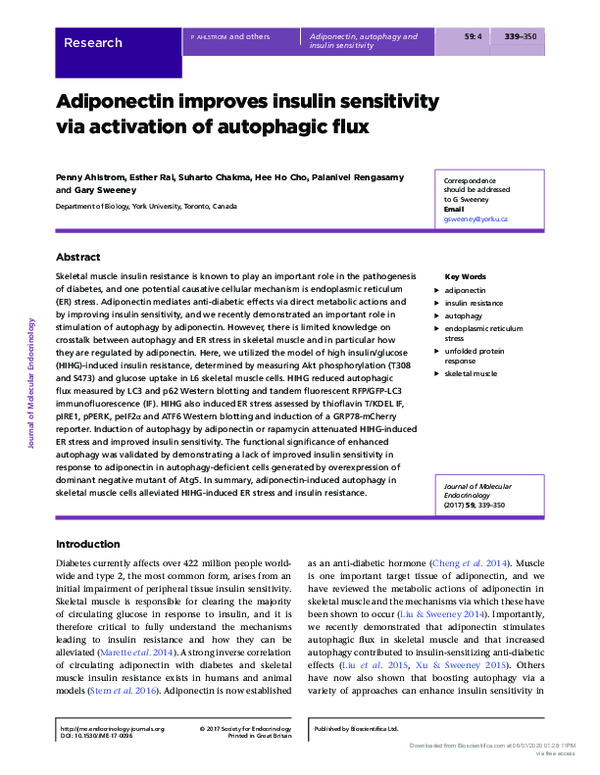 (PDF) Adiponectin improves insulin sensitivity via activation of ...