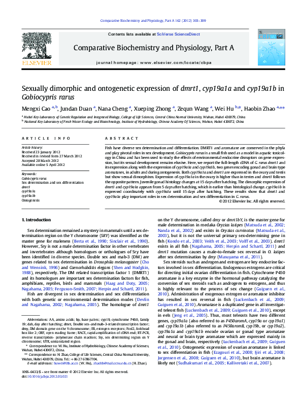 (PDF) Sexually dimorphic and ontogenetic expression of dmrt1, cyp19a1a ...