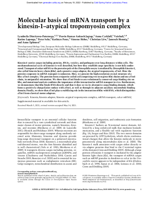 (PDF) Molecular basis of mRNA transport by a kinesin-1–atypical ...