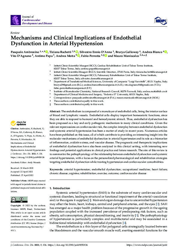 (PDF) Mechanisms and Clinical Implications of Endothelial Dysfunction ...