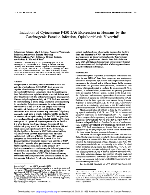 (PDF) Induction of cytochrome P450 2A6 expression in humans by the ...