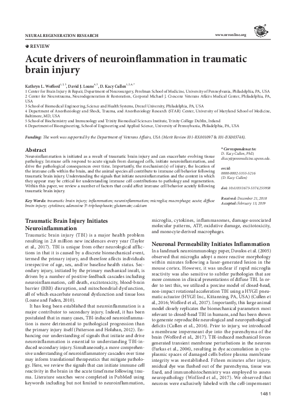 (PDF) Acute drivers of neuroinflammation in traumatic brain injury