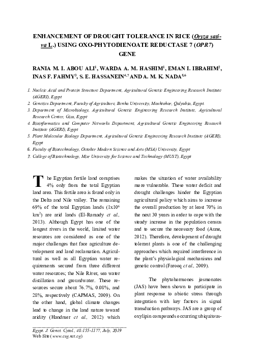 (PDF) ENHANCEMENT OF DROUGHT TOLERANCE IN RICE (Oryza sativa L.) USING ...