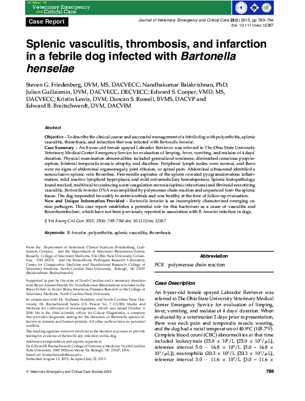 (PDF) Splenic vasculitis, thrombosis, and infarction in a febrile dog ...