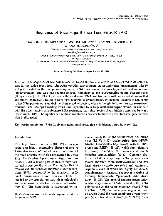 (PDF) Sequence of rice hoja blanca tenuivirus RNA2 Miguel Muñoz