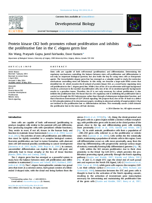 (PDF) Protein kinase CK2 both promotes robust proliferation and ...