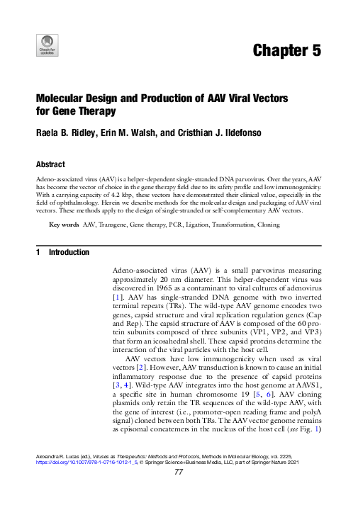 (PDF) Molecular Design and Production of AAV Viral Vectors for
