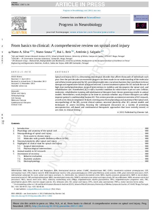 (PDF) From basics to clinical: A comprehensive review on spinal cord injury