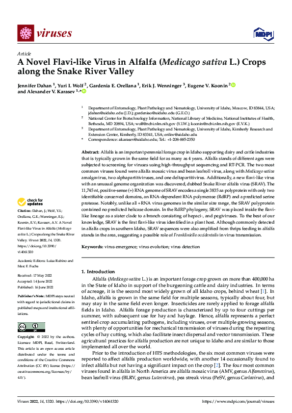 (PDF) A Novel Flavi-like Virus in Alfalfa (Medicago sativa L.) Crops ...