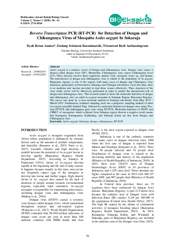  pdf reverse transcriptase pcr rt pcr for detection of dengue and